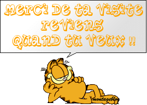 merci bocoup